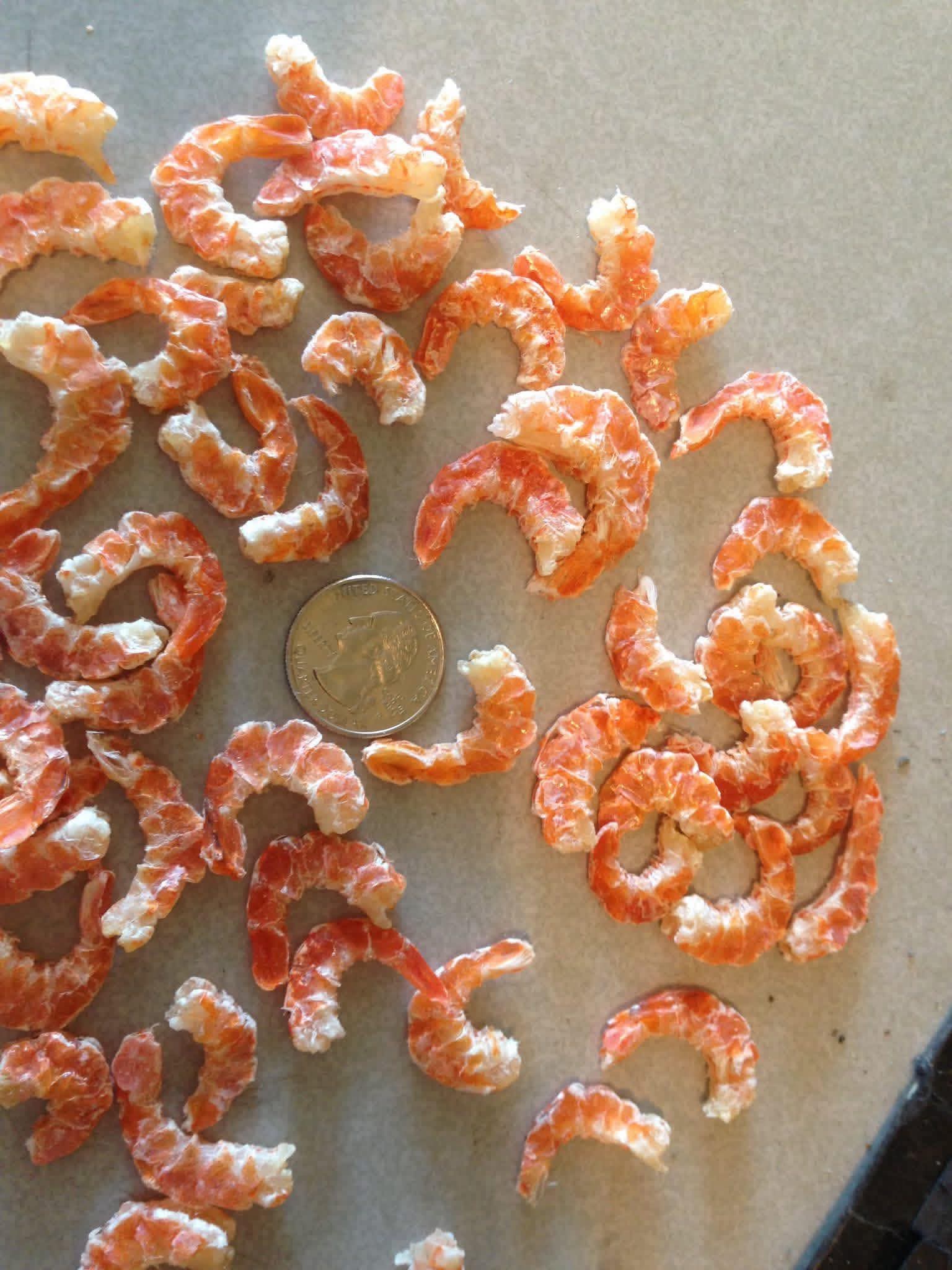 Tôm khô Kayxon size lớn so với đồng 25 cent